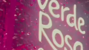 Rio Carnaval 2026 Camarote VerdeRosa